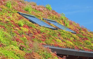Brae Of Pert living roof systems