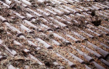 Brae Of Pert roof cleaning companies